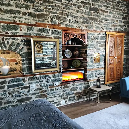 Villa Stone In Old Town - Private Parking & Views Gjirokastër